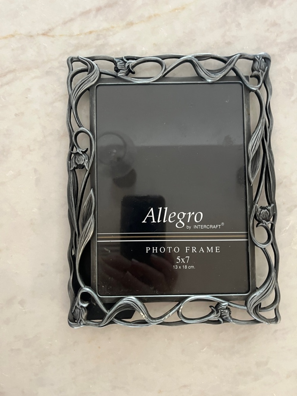 Allegro 5x7 Decorative Metal Photo Frame in Pewter Gray